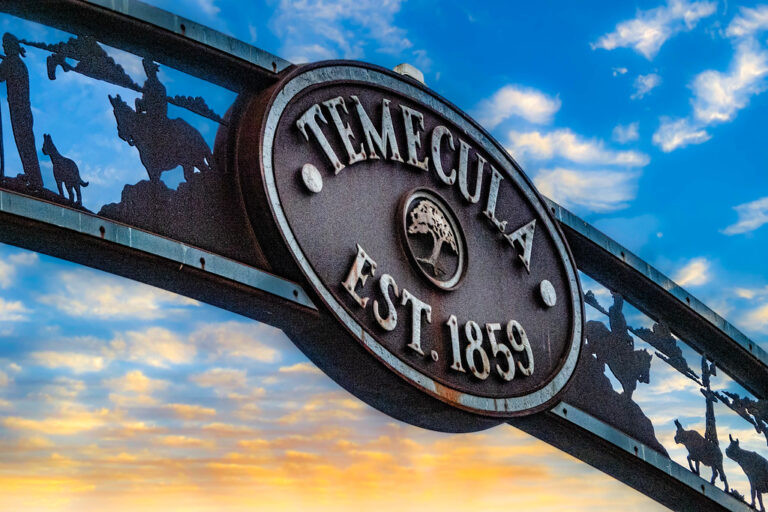 53632159849_6b7ebf243d_b